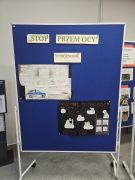 Podsumowanie Kampanii „Dzieciństwo bez przemocy”