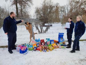 Czytaj więcej: Finał zbiórki karmy dla zwierząt w schronisku 