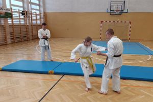 Czytaj więcej: Pokaz karate